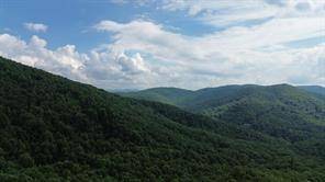 Morganton, GA 30560,93 BEAR TRACK TRL