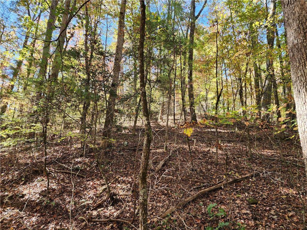 Blue Ridge, GA 30513,0 Grace DR