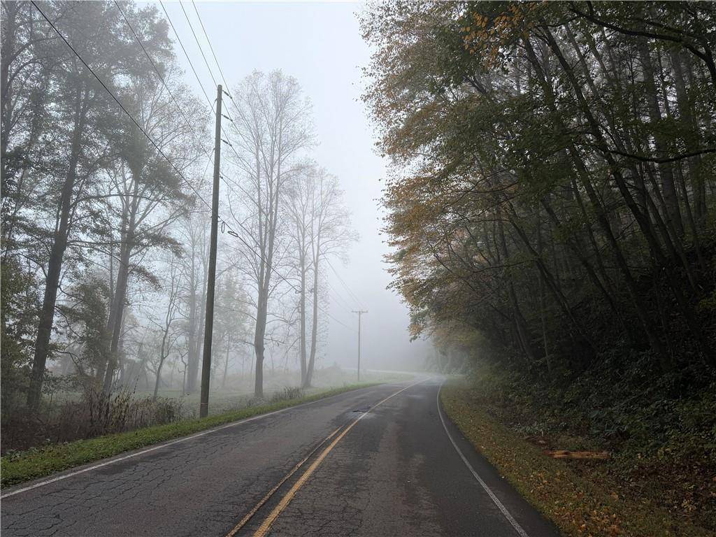 Ellijay, GA 30540,00 Whitepath RD