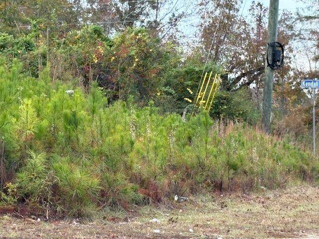 Griffin, GA 30224,235 Kendall DR