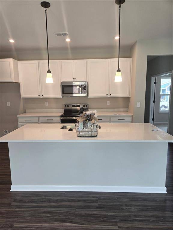 Dallas, GA 30132,203 Sage Woods WAY