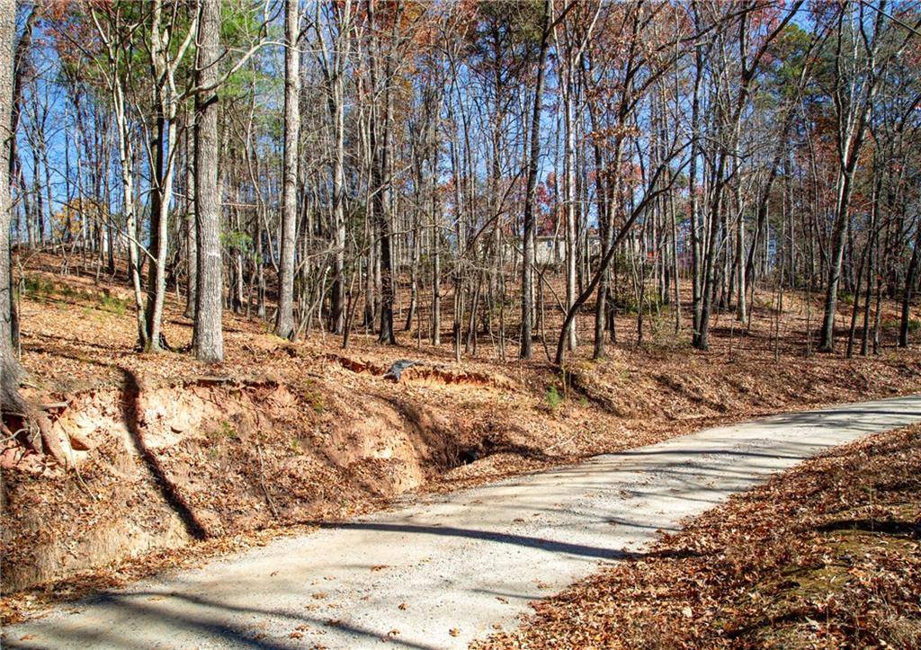 Dawsonville, GA 30534,Lot124 Mountain View RD