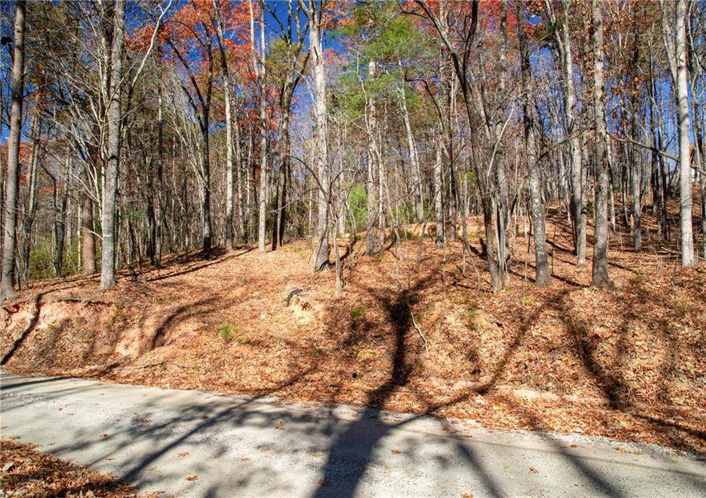 Dawsonville, GA 30534,Lot124 Mountain View RD