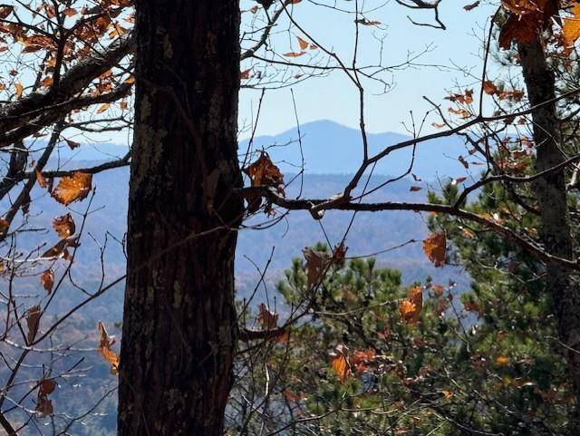 Talking Rock, GA 30175,0 John Call Rd