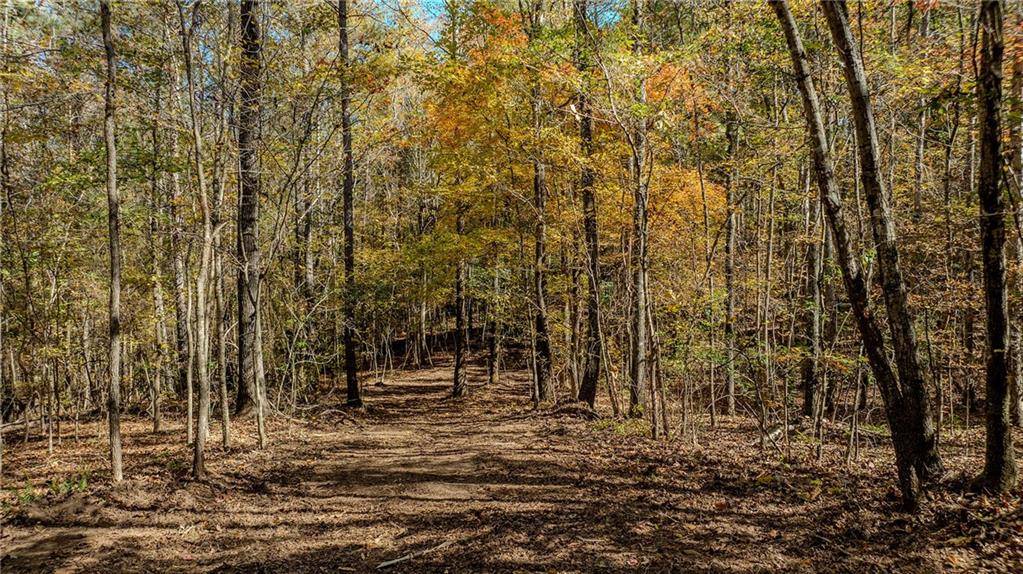 Chattahoochee Hills, GA 30268,0 Jones Ferry RD #Lot 2