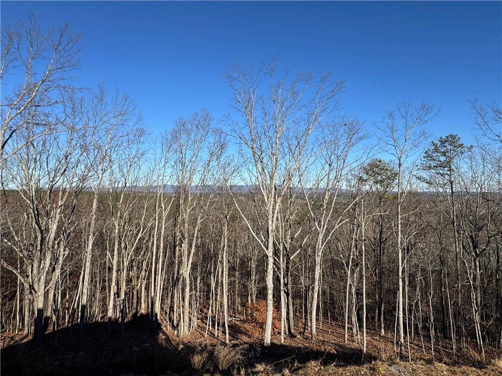 Jasper, GA 30143,171 Hawthorne Hill RD