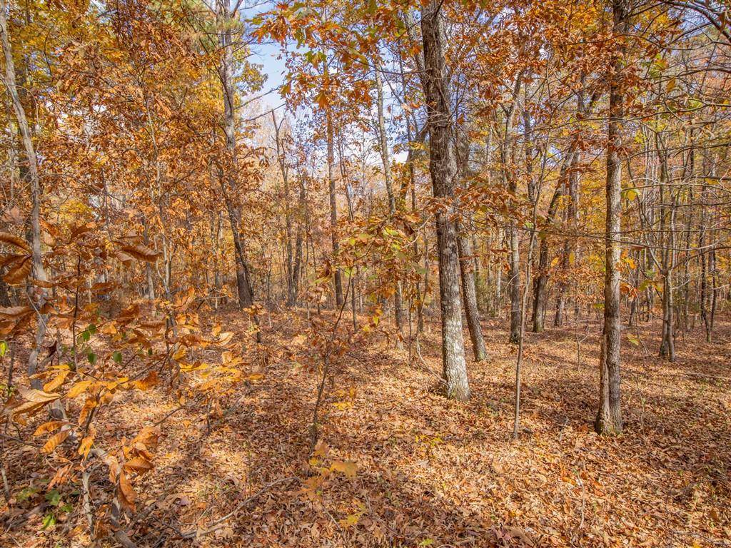 Kingston, GA 30145,0 Galway DR