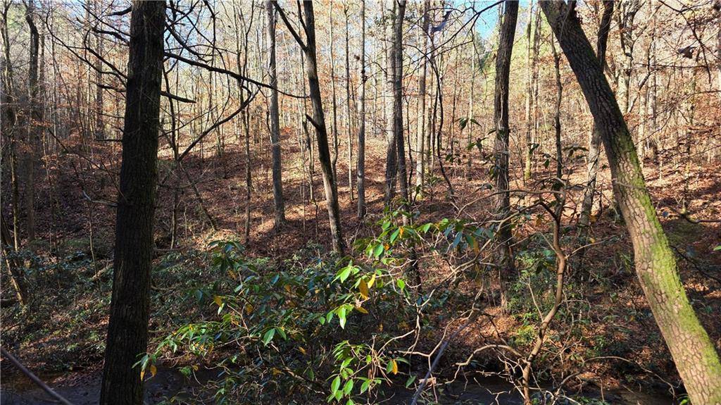 Marble Hill, GA 30148,0 Dell Moore RD