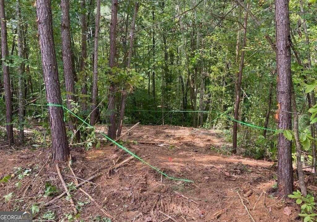 Dallas, GA 30132,248 Pioneer Trail