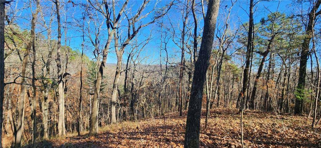 Ranger, GA 30734,561 Parable CT