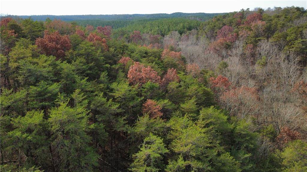 Fairmount, GA 30139,Tract 30 Deerfield Estates