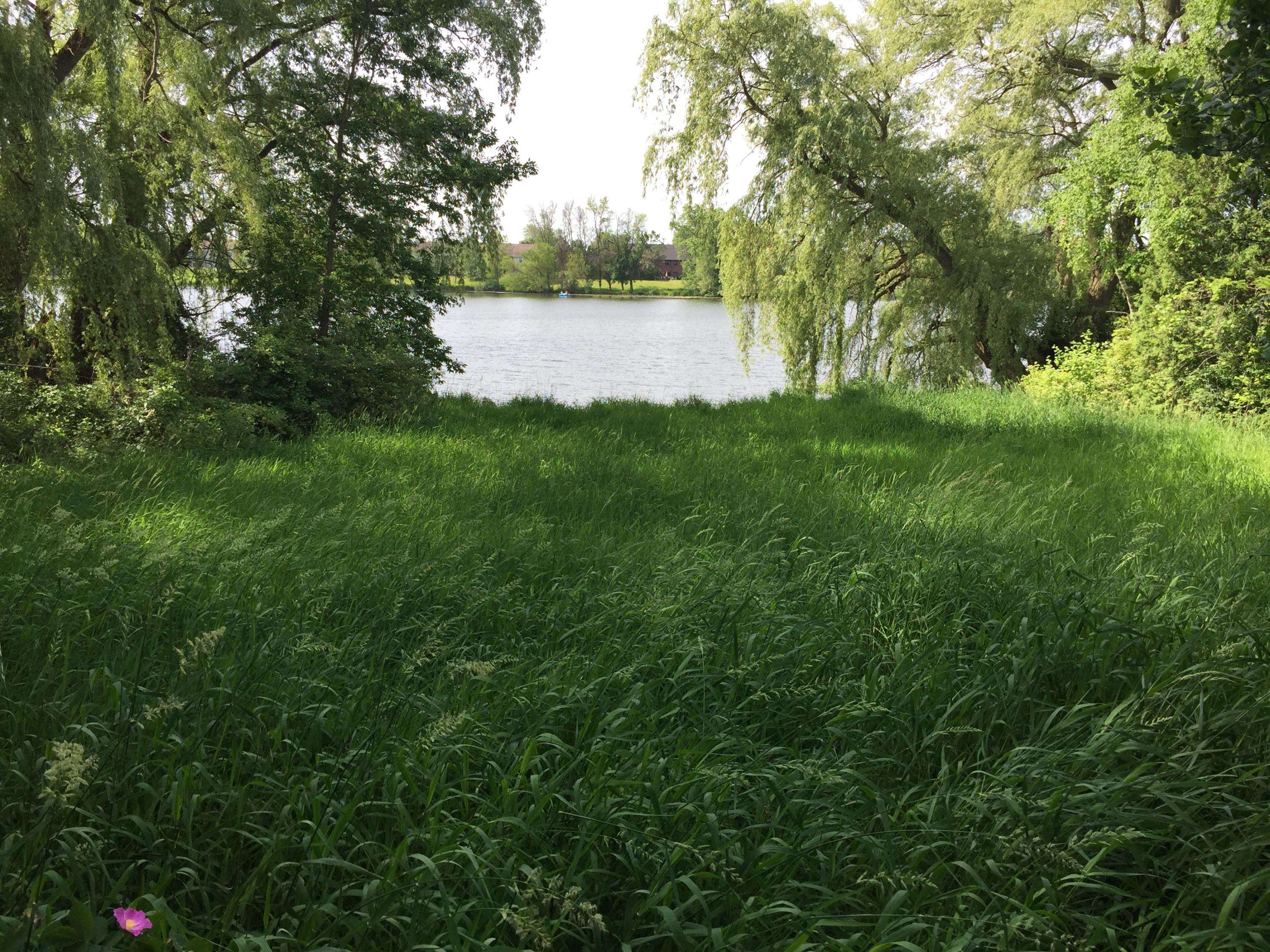 Jackson, WI 53037,0 Rosewood Ln