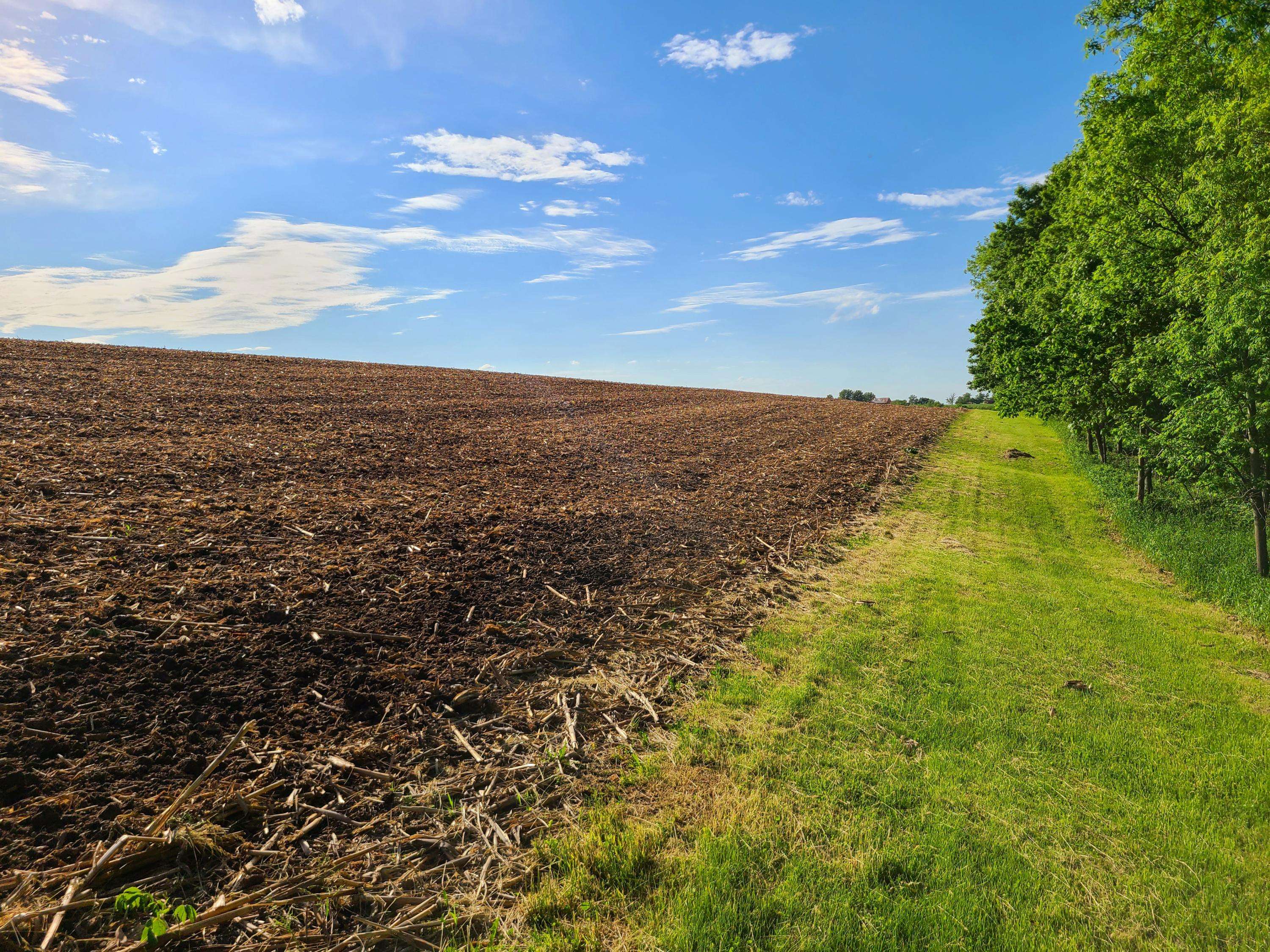 Ridgeville, WI 54648,Lt0 Kayak Rd