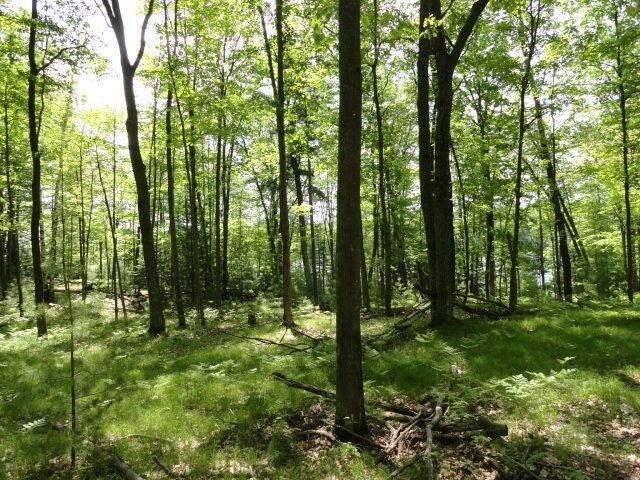 Blackwell, WI 54566,Lt18 Bear Lake Rd