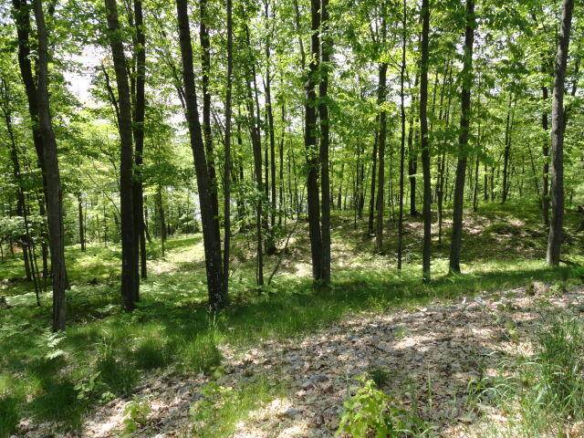 Blackwell, WI 54566,Lt18 Bear Lake Rd