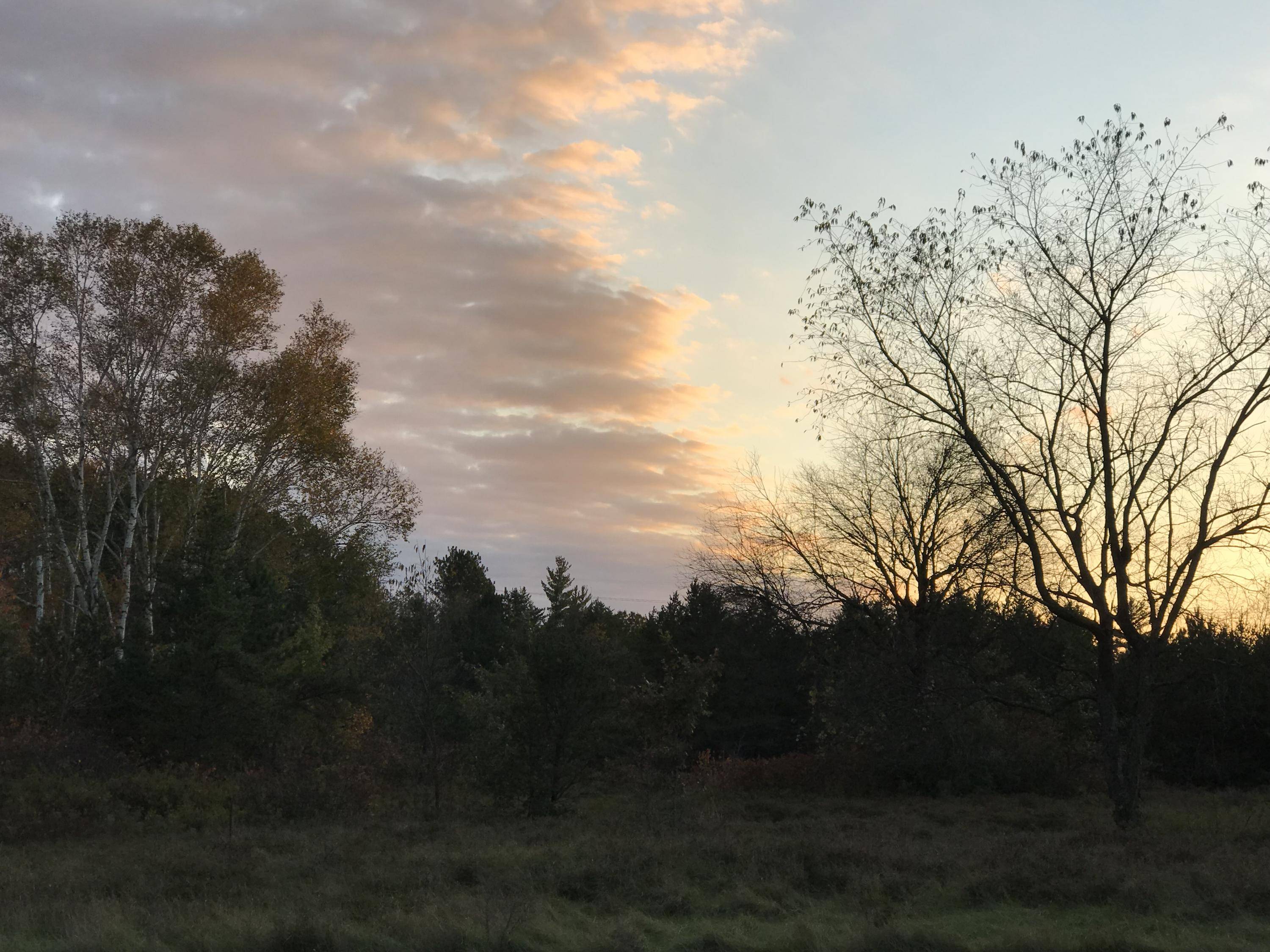 Stephenson, WI 54114,Lt21 Ridgeview Ct