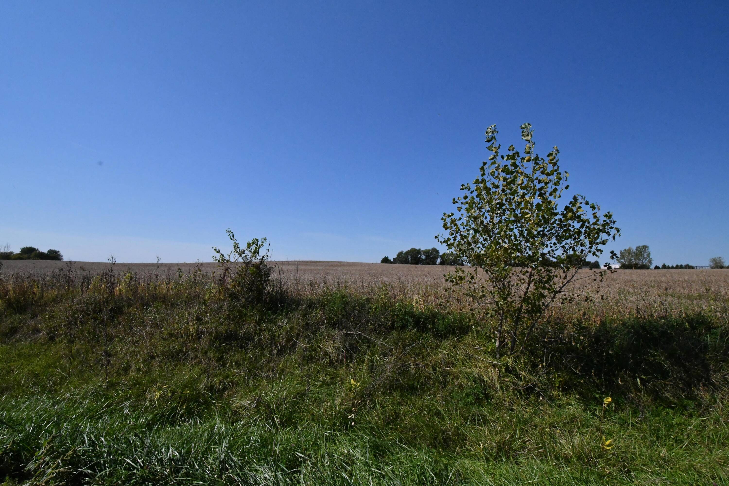 Ripon, WI 54971,Lt46 Karau Ave
