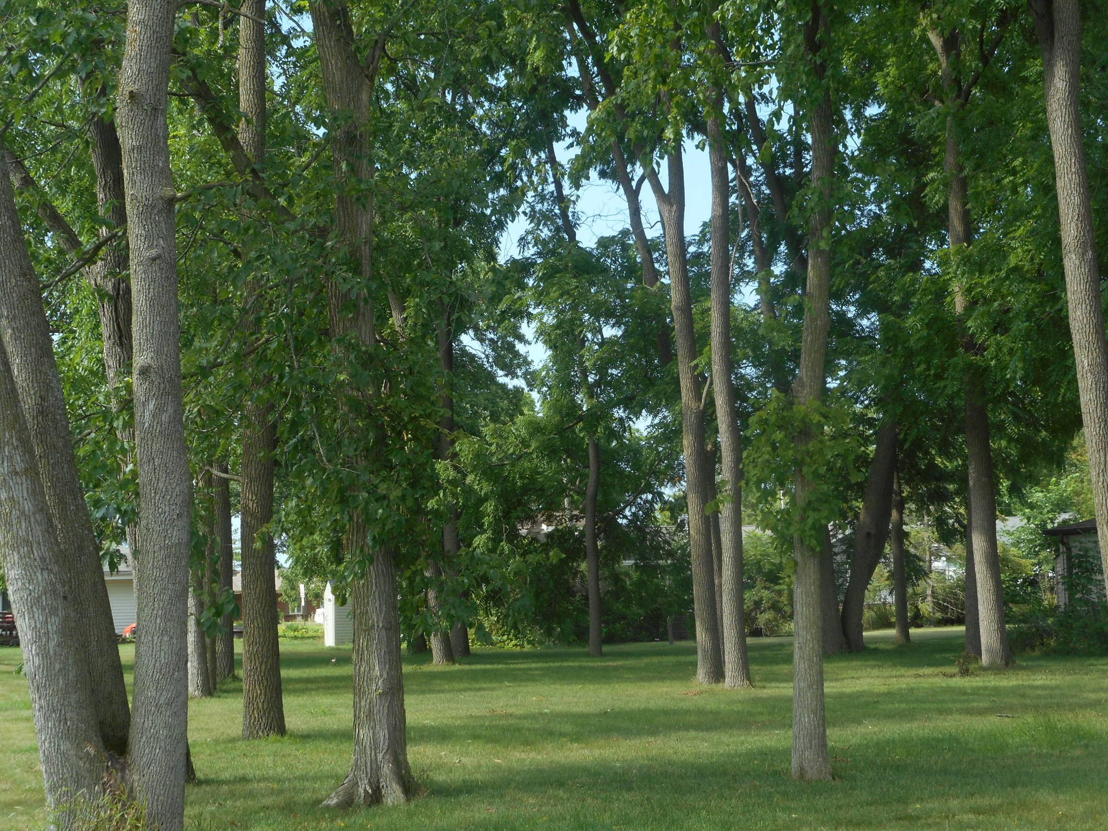 Norway, WI 53185,Lt5 Julia St