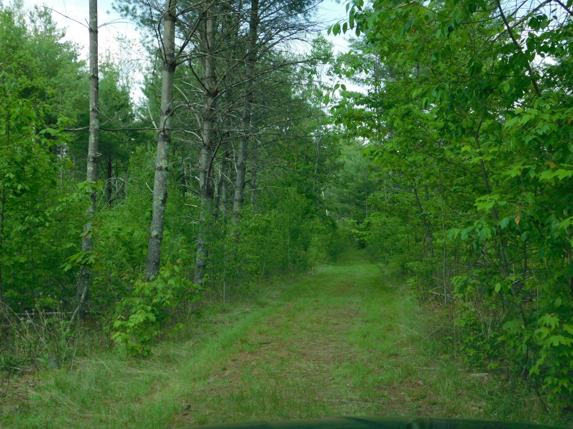 Menominee, WI 54174,W606 Joe Johnson Rd
