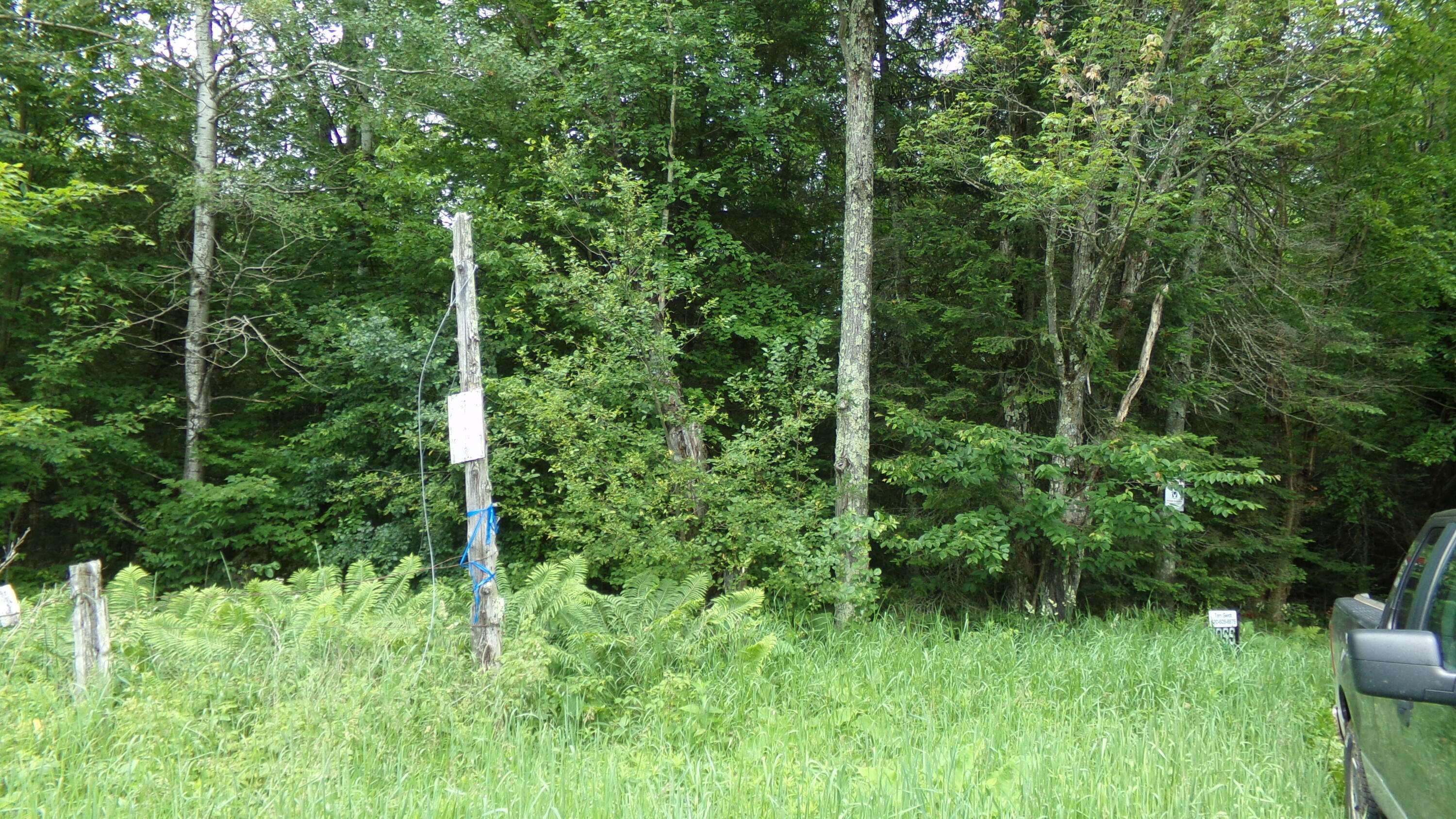 Hutchins, WI 54409,W16252 Butternut Rd