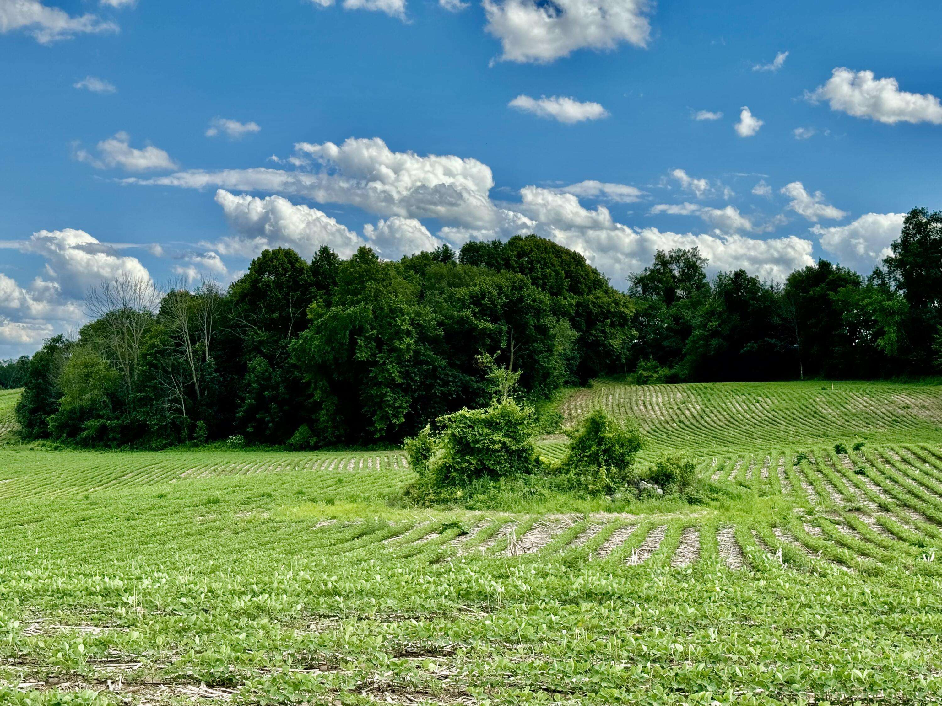 Osceola, WI 53010,Lt1 Happy Hollow Rd