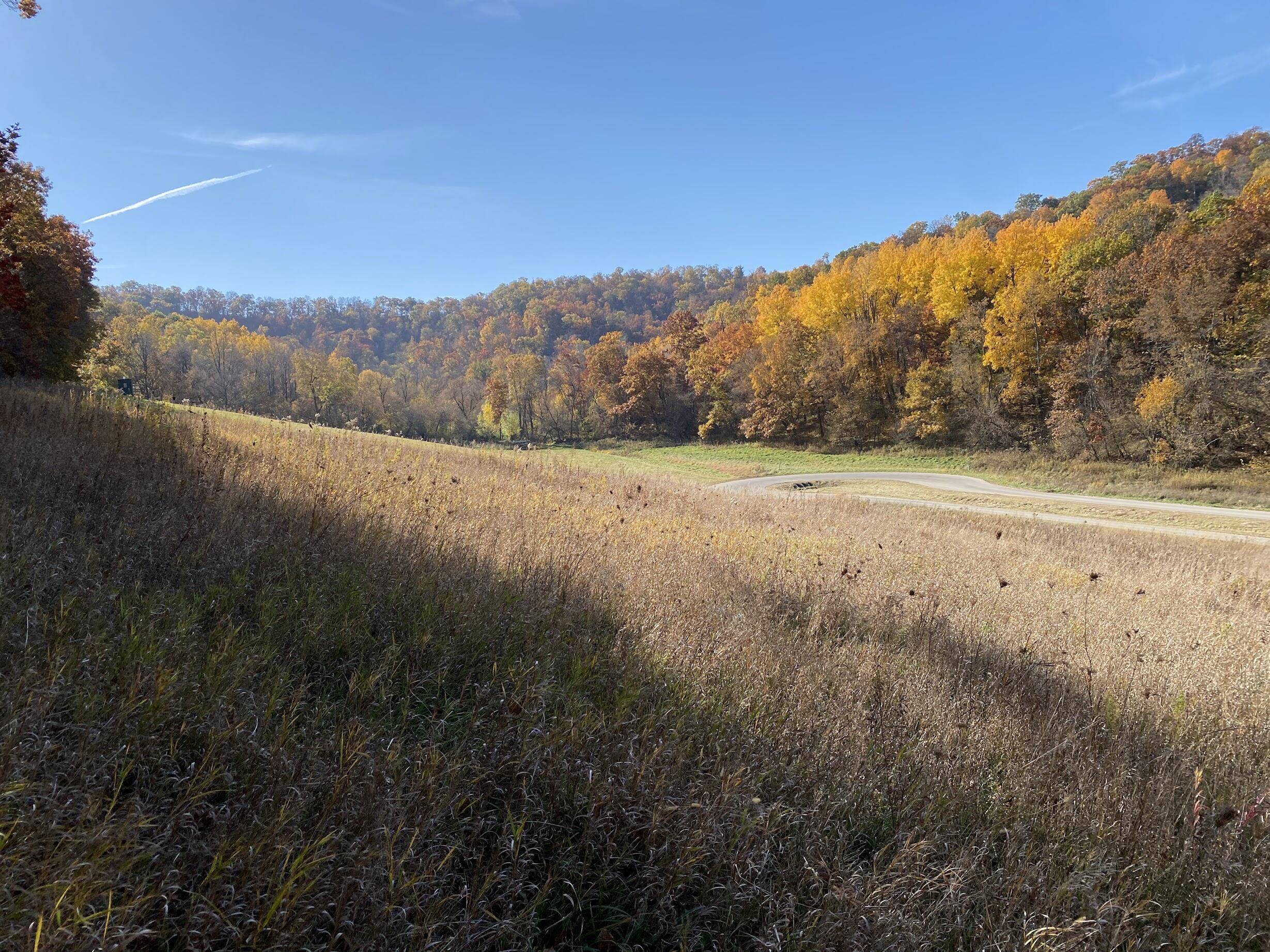 Onalaska, WI 54650,Lot 59 Pinewood Dr