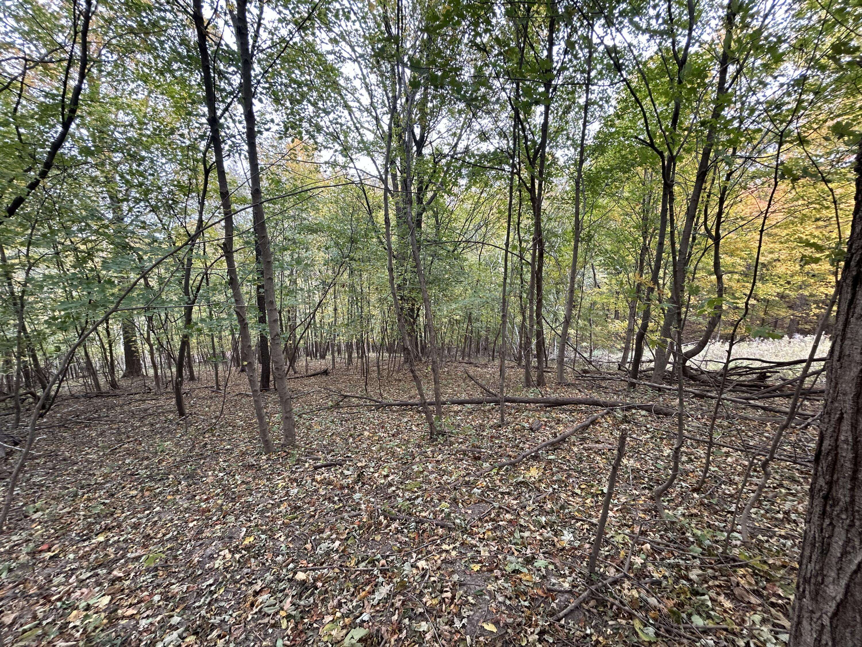 Freeman, WI 54624,Lot 6 Grandview Dr