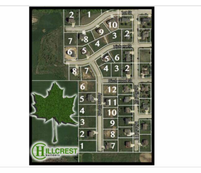 Belgium, WI 53004,Lt3 Birchwood St