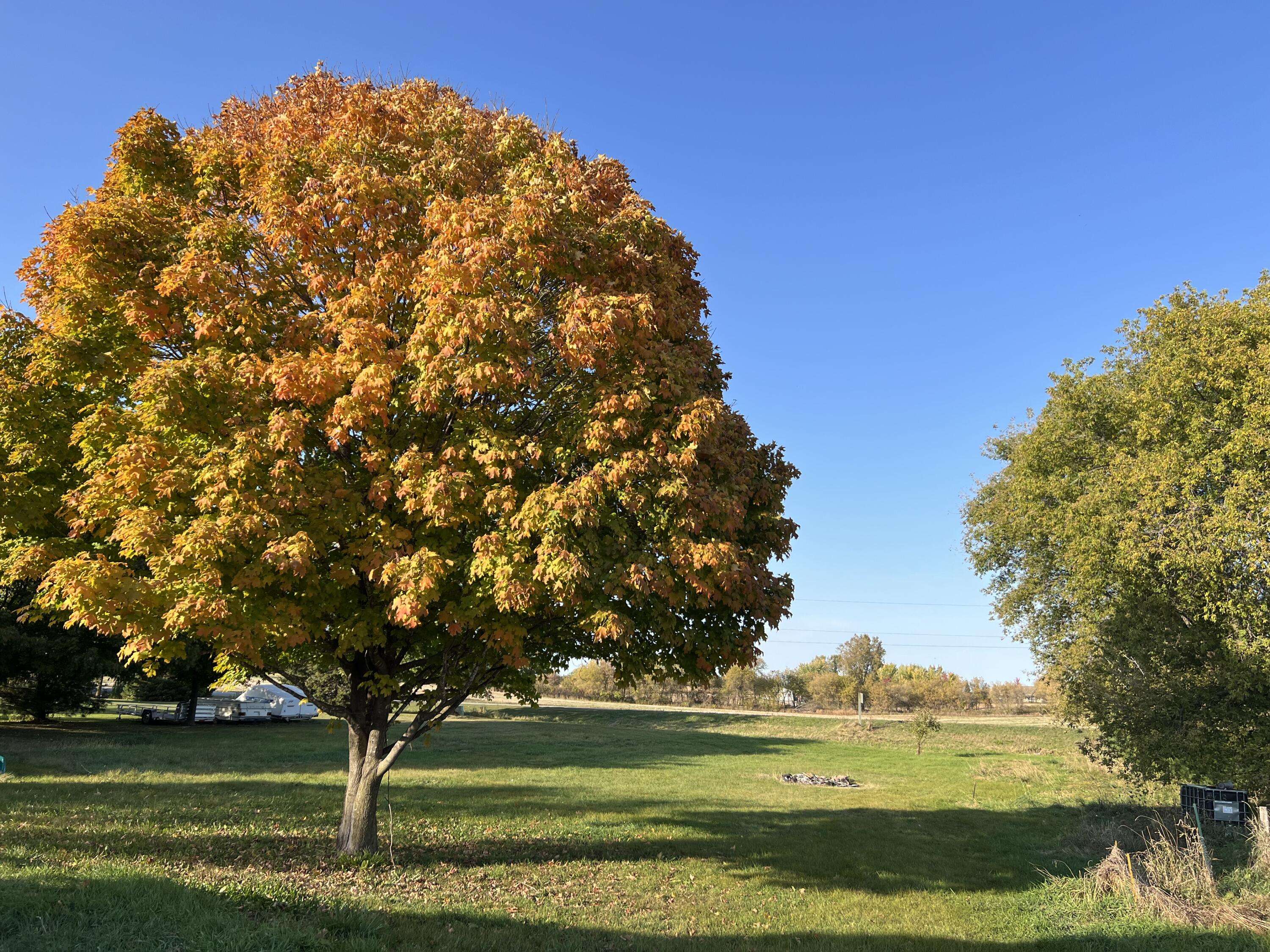 Black Creek, WI 54106,N4464 State Road 47 -