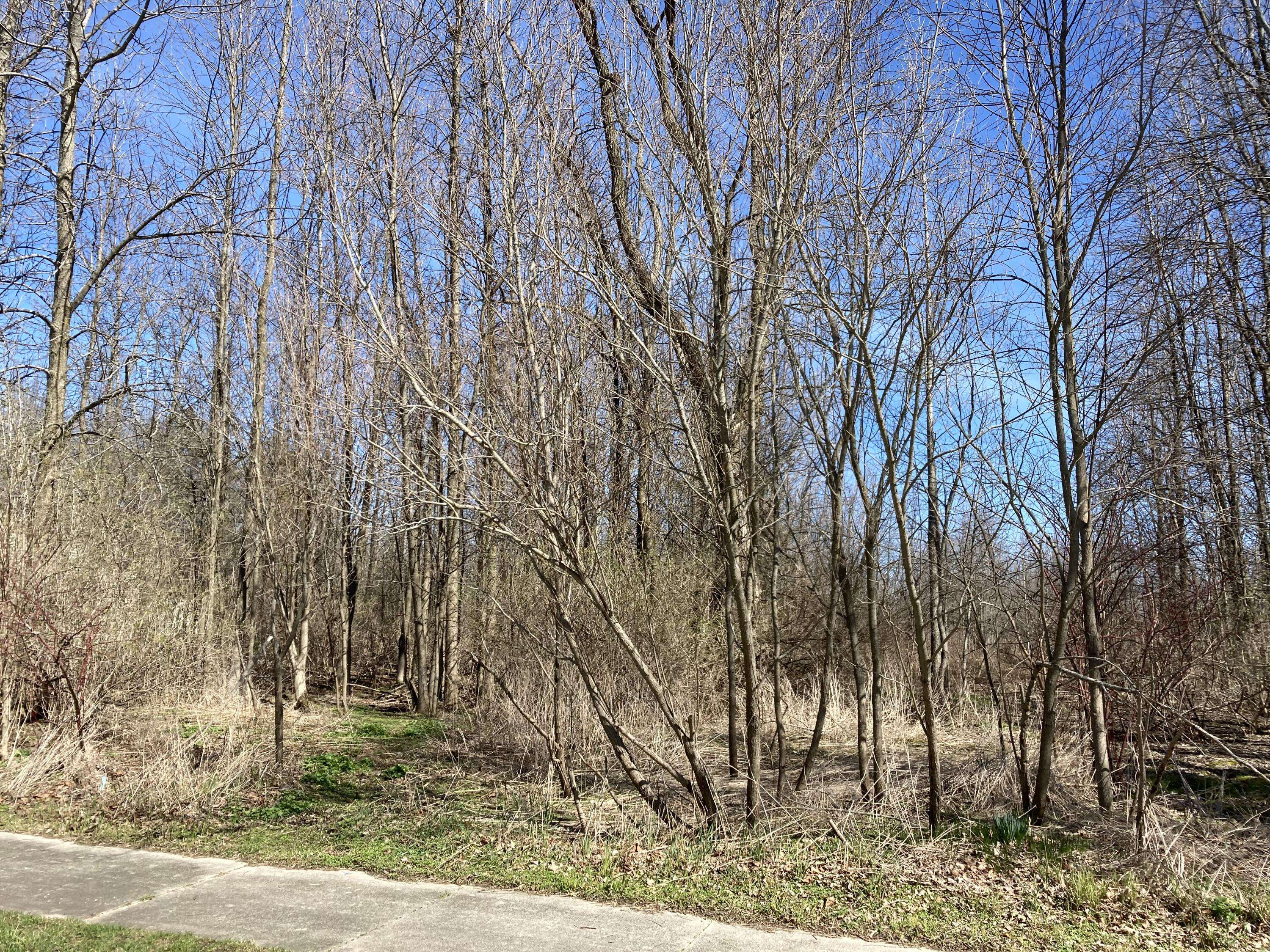 Two Rivers, WI 54241,Lt15 Pierce Ct