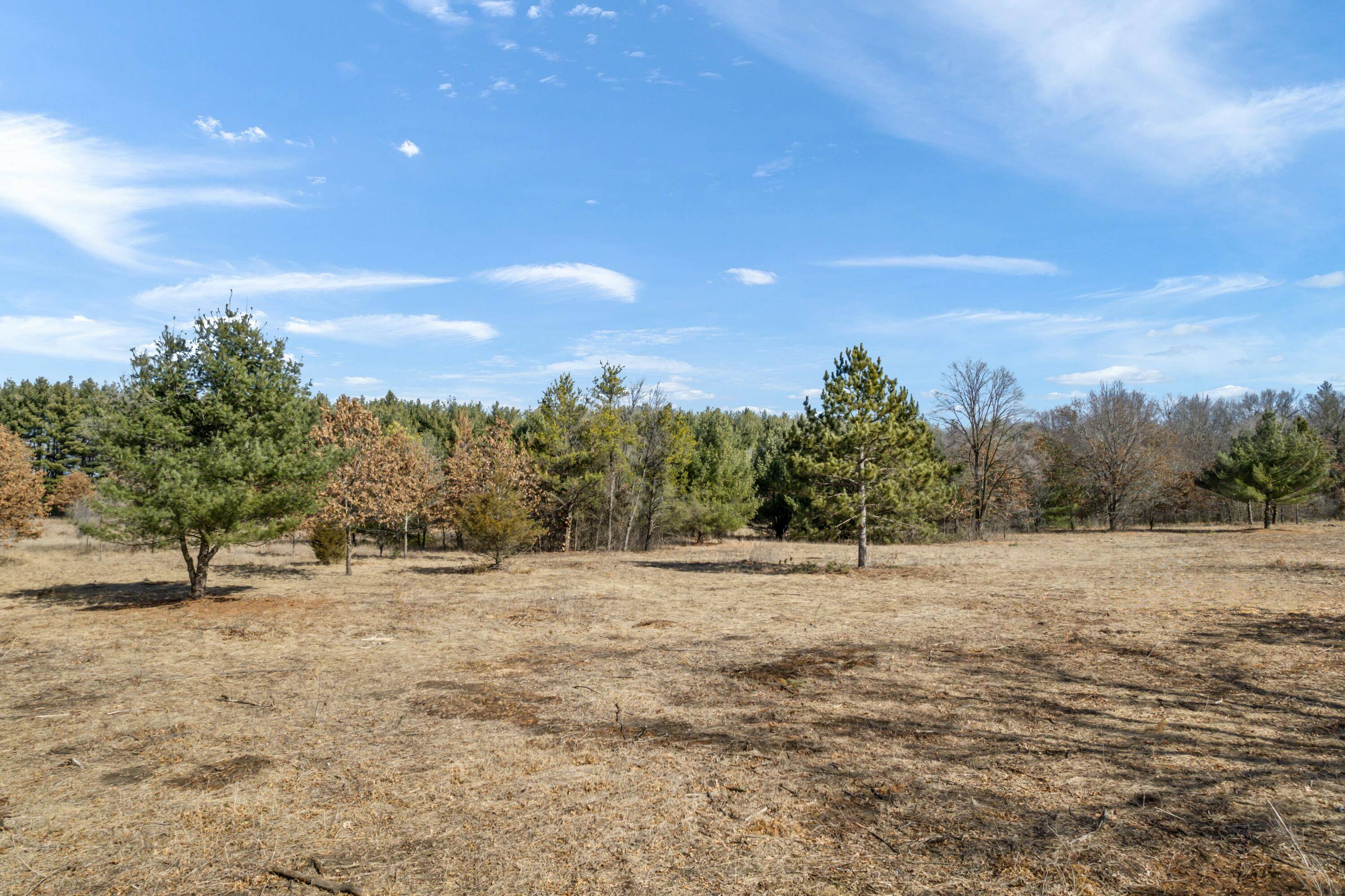 La Grange, WI 54660,Lt0 Forest Ave