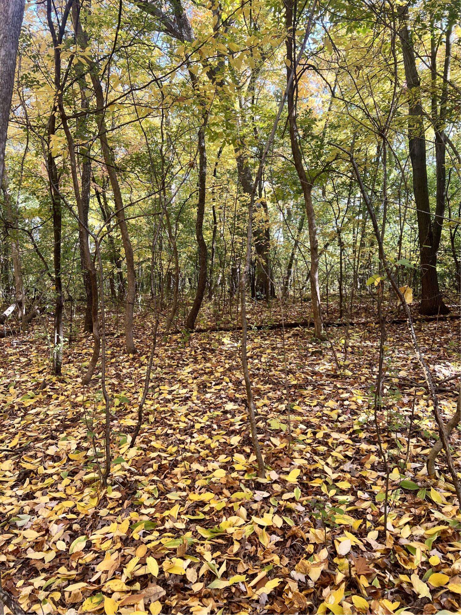 New Berlin, WI 53146,Lt2 Downie Rd