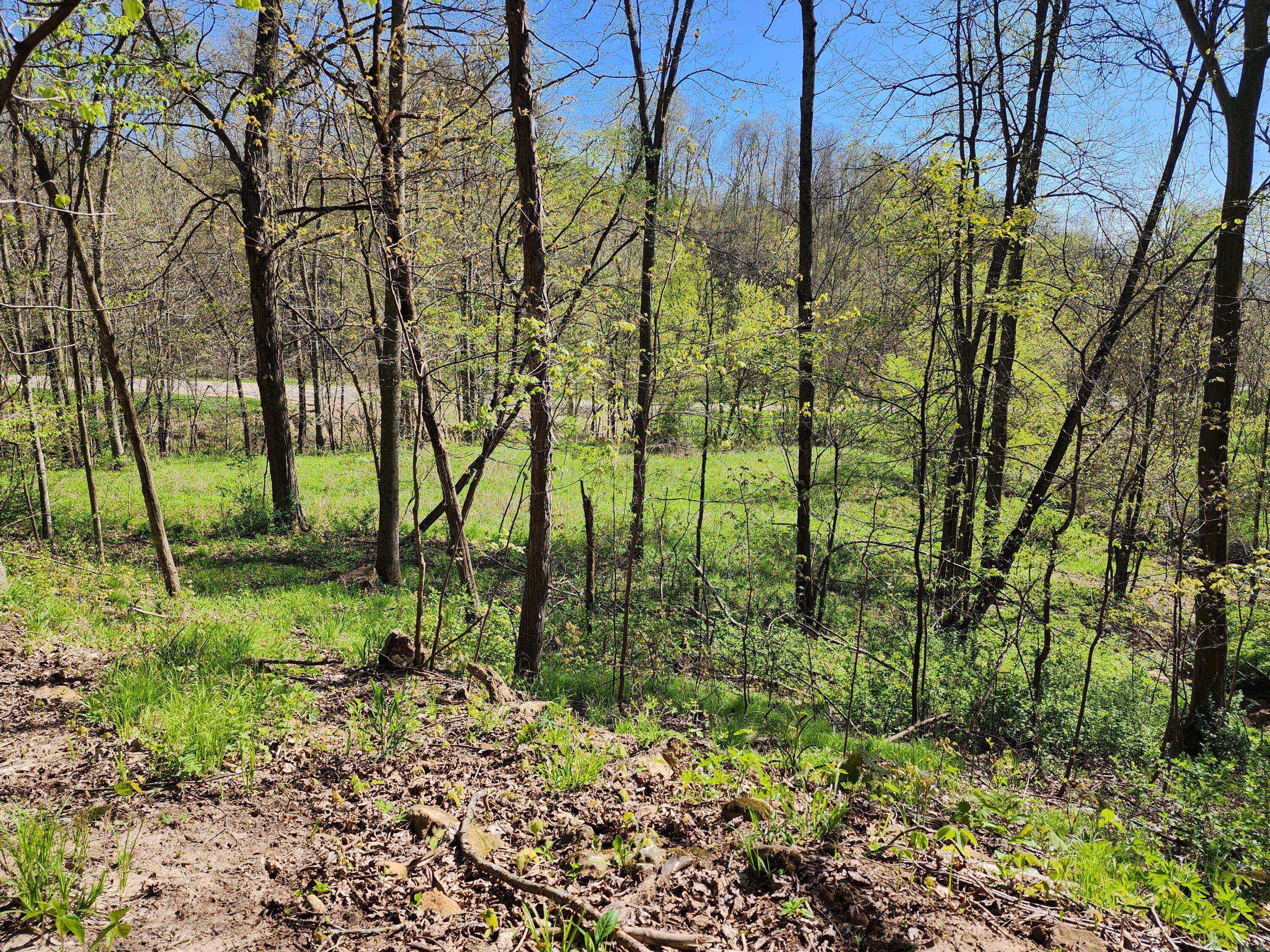 Wellington, WI 54651,17.02 AC County Road P -