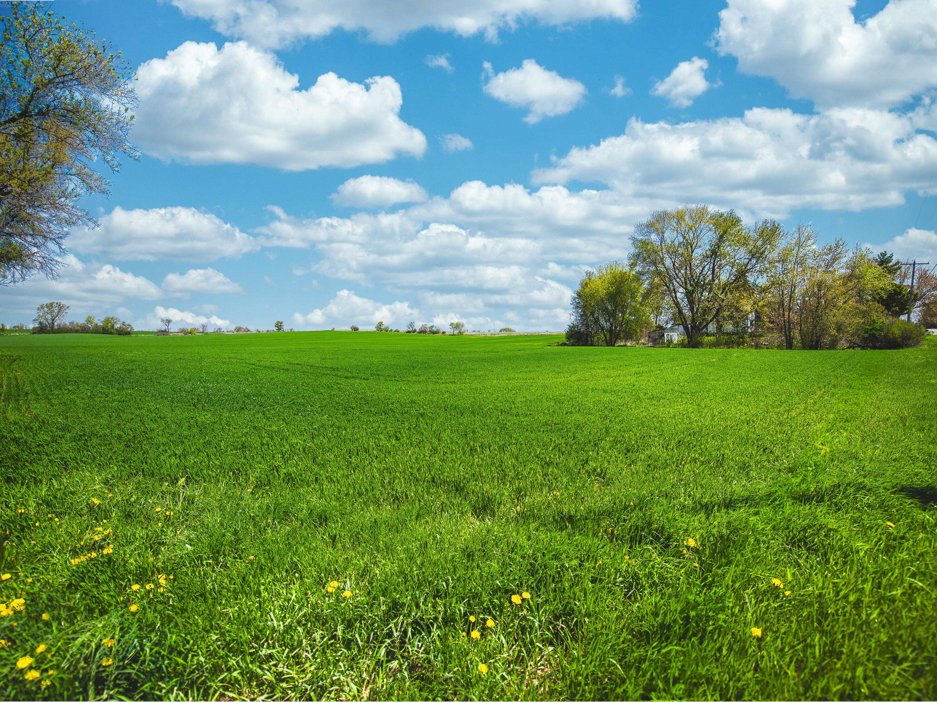 Raymond, WI 53126