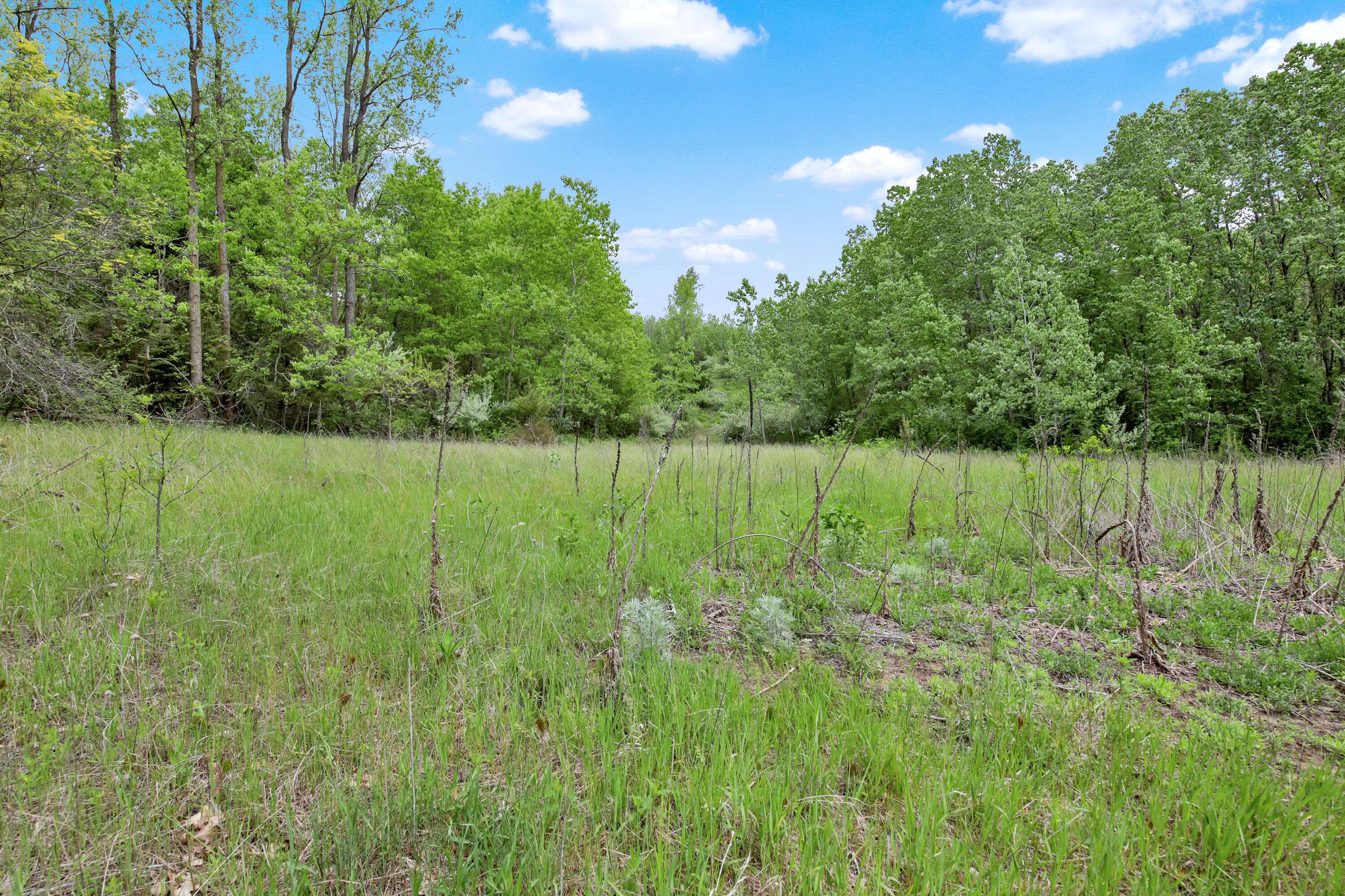 Farmington, WI 53090,1804 Shalom Dr