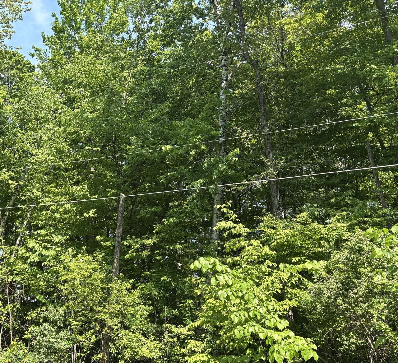 Mosel, WI 53083,Lot0 Sunset Cir