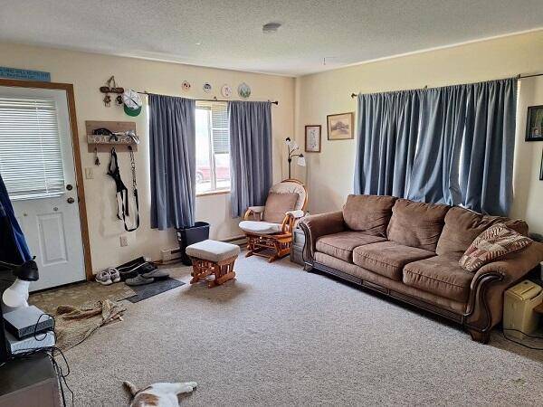 Stoddard, WI 54658,113/115 OAK St