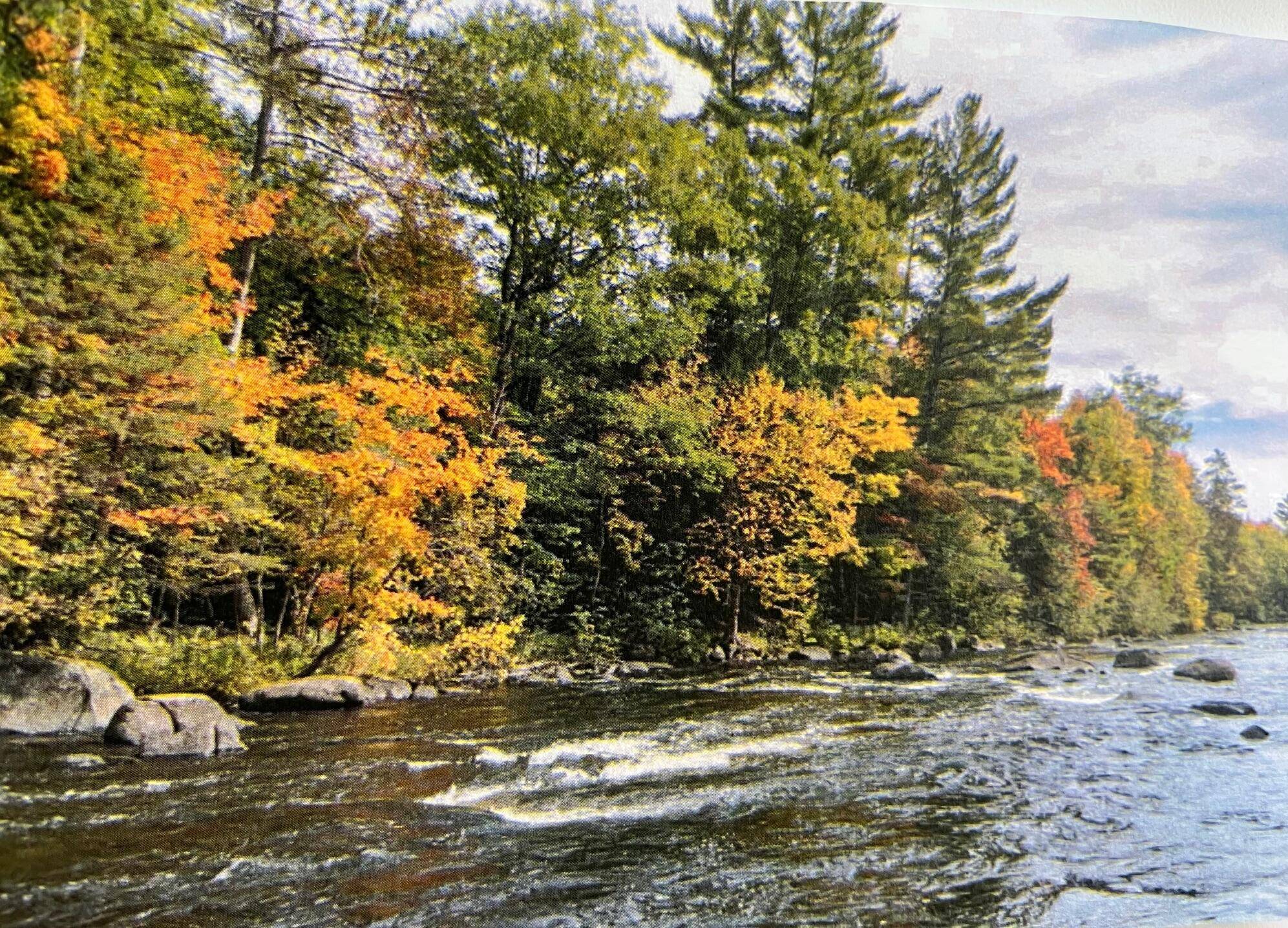 Silver Cliff, WI 54104,Lt2 Upper Roaring Rapids Ln