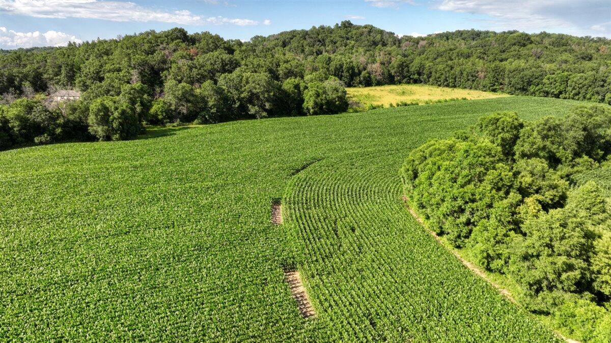 Sparta, WI 54656,0 Hammer Rd