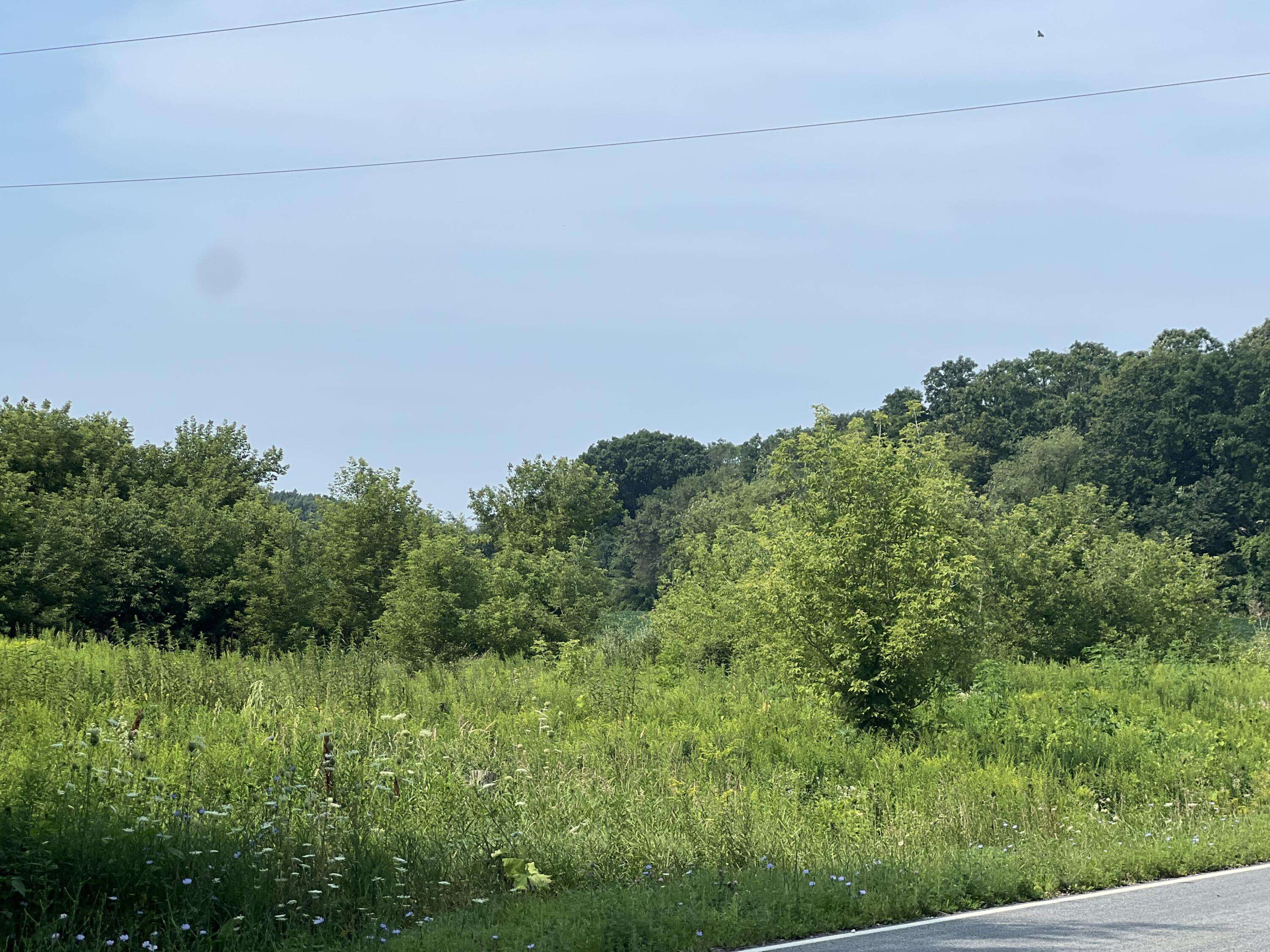 Mitchell, WI 53073,Lot1 County Road N -