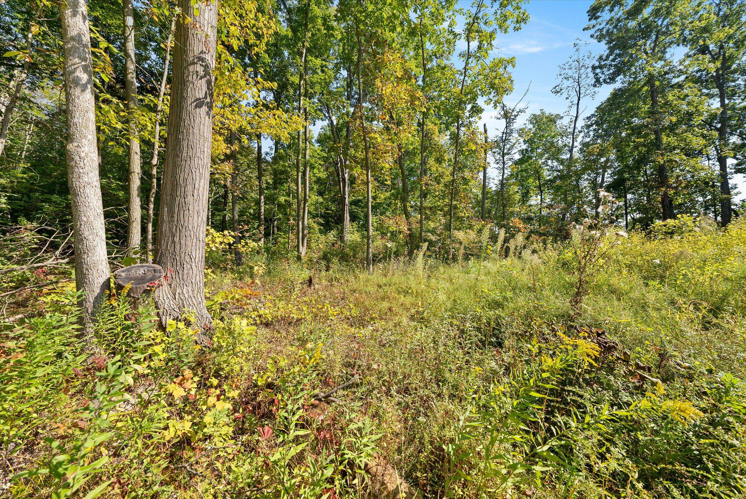 Scott, WI 53075,N965 Boltonville Rd