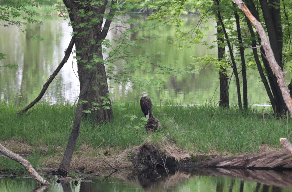 La Crosse, WI 54601,2956 Marion Rd S