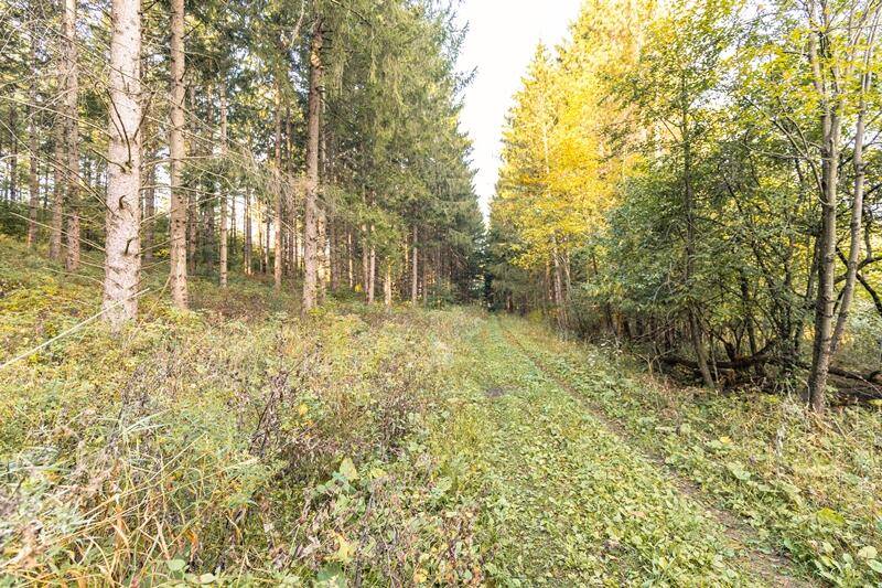 Mitchell, WI 53011,Lt0 County Road A W -