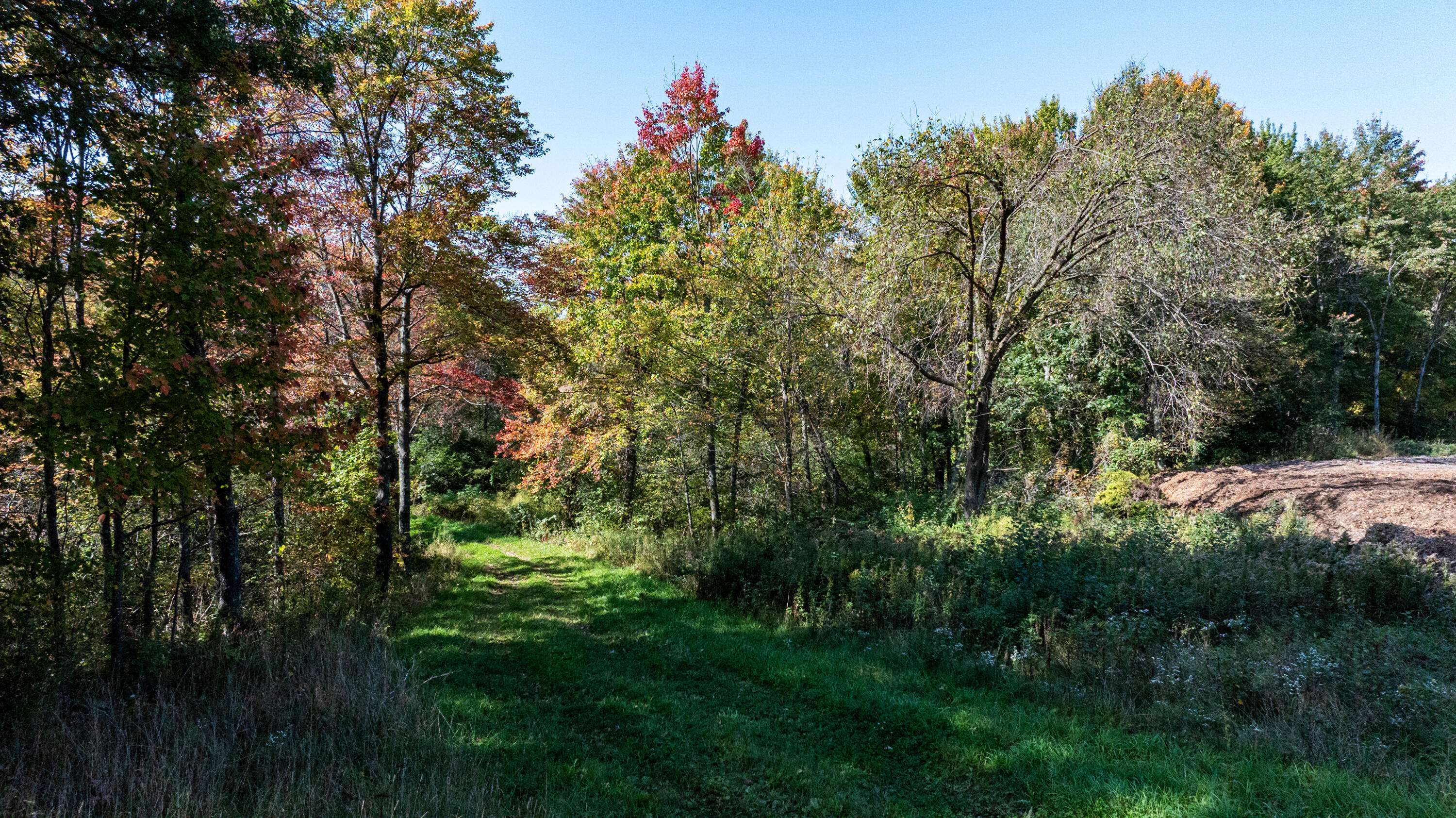 Adams, WI 54615,0 Hannon Rd