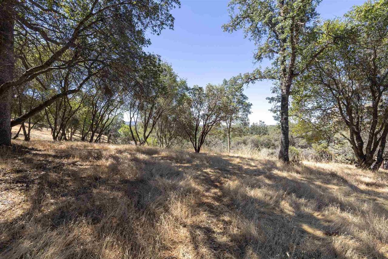 Sonora, CA 95383,1.66 Acres Avenida Bonita N