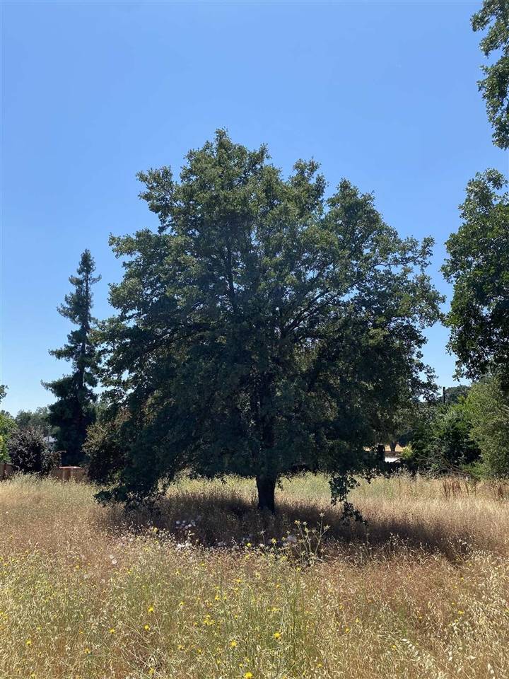 Jamestown, CA 95327,Parcel 2 Rolling Hills