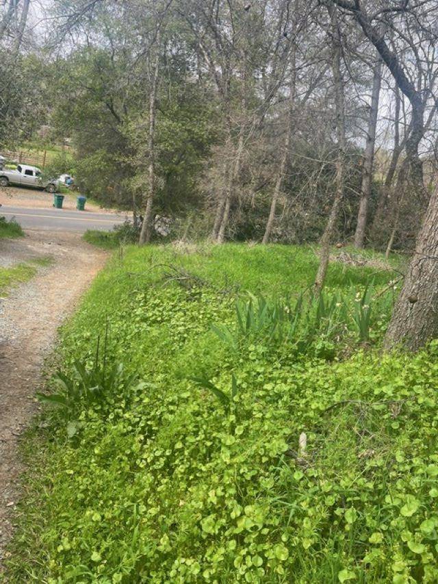 Sonora, CA 95370,20928 Shaws Flat #N/A