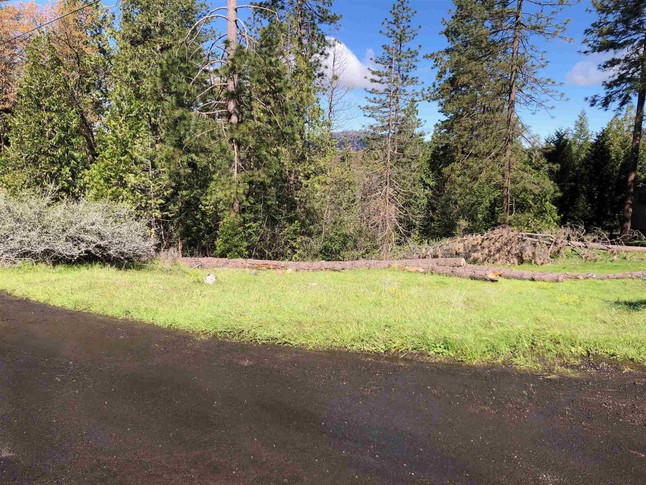 Twain Harte, CA 95383,LOT 6 RIDGE ROAD