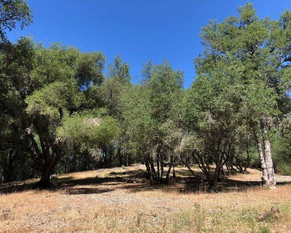 Sonora, CA 95370,21930 Lyons Bald Mountain