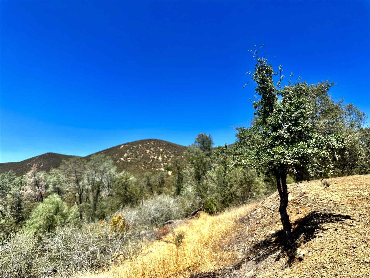 La Grange, CA 95329,6245 Casillia Ct